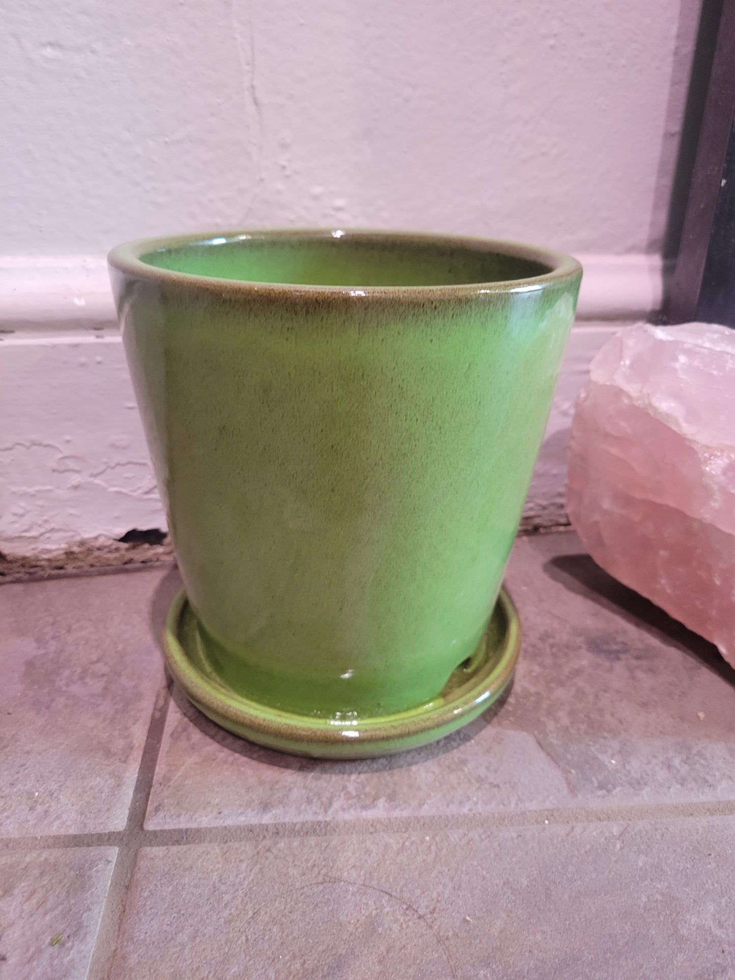 Tiny Buds - L - Assorted