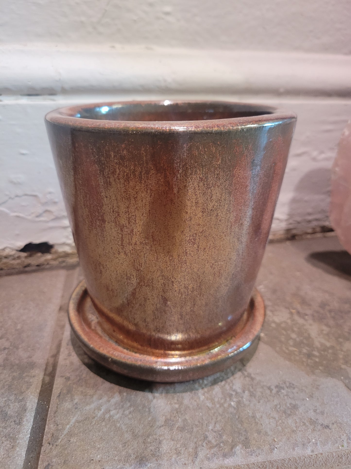 Tiny Buds - S - Assorted