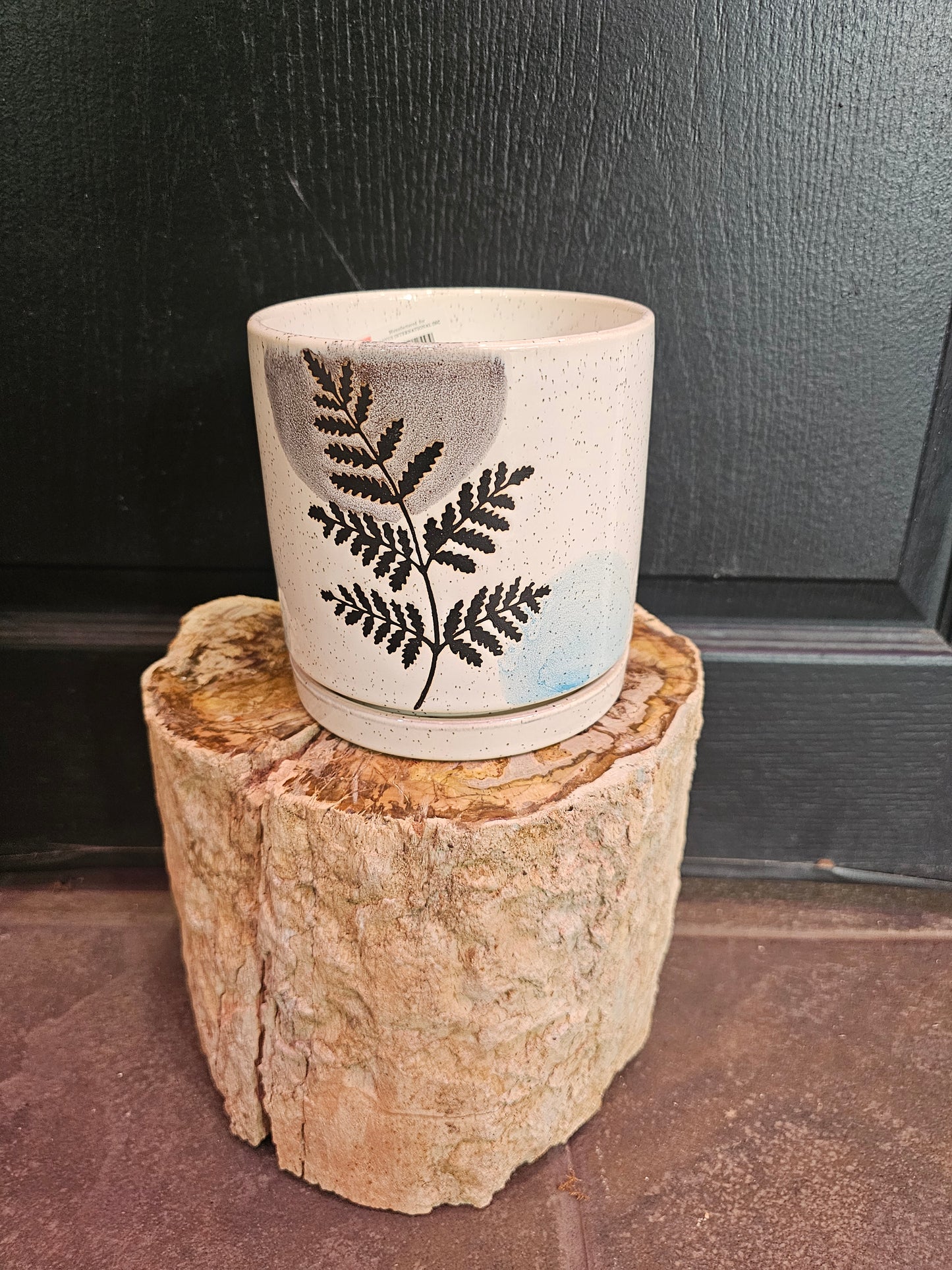 Fern Planter