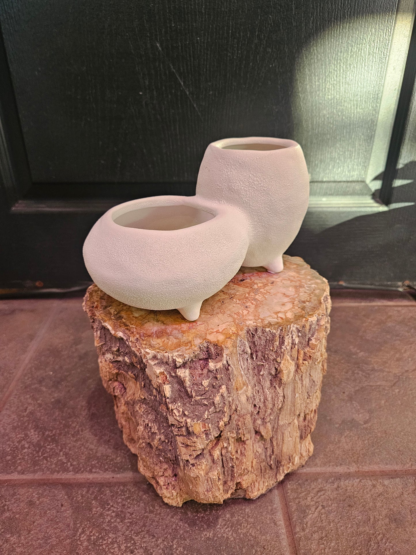 Dual Planter