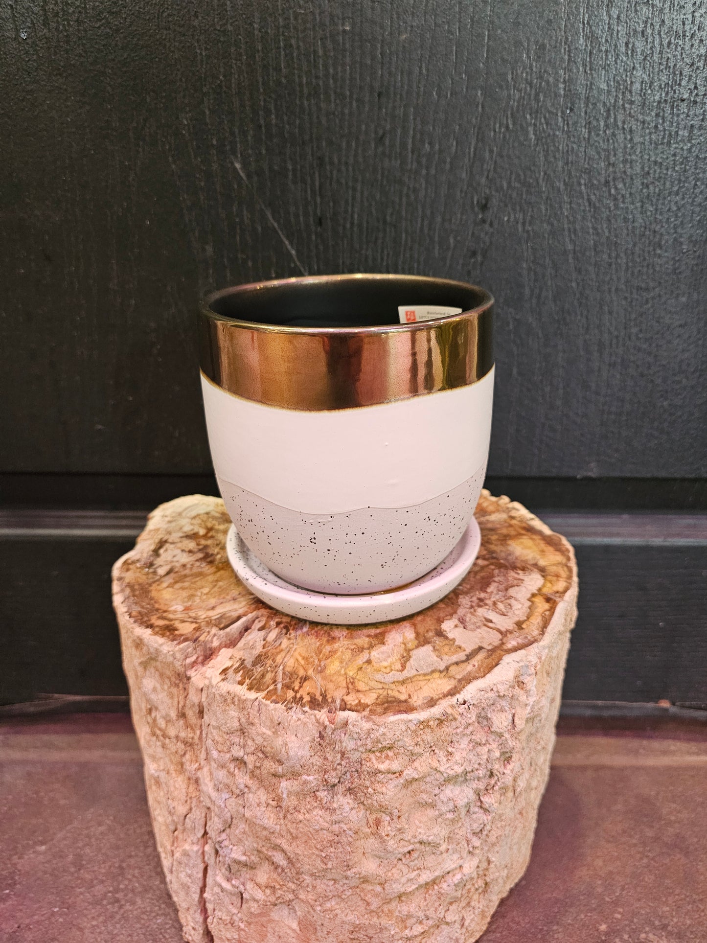 Fusion Egg Pot W/ Saucer 'Gold'