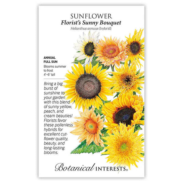 Sunflower Florist's Boquet hybrid