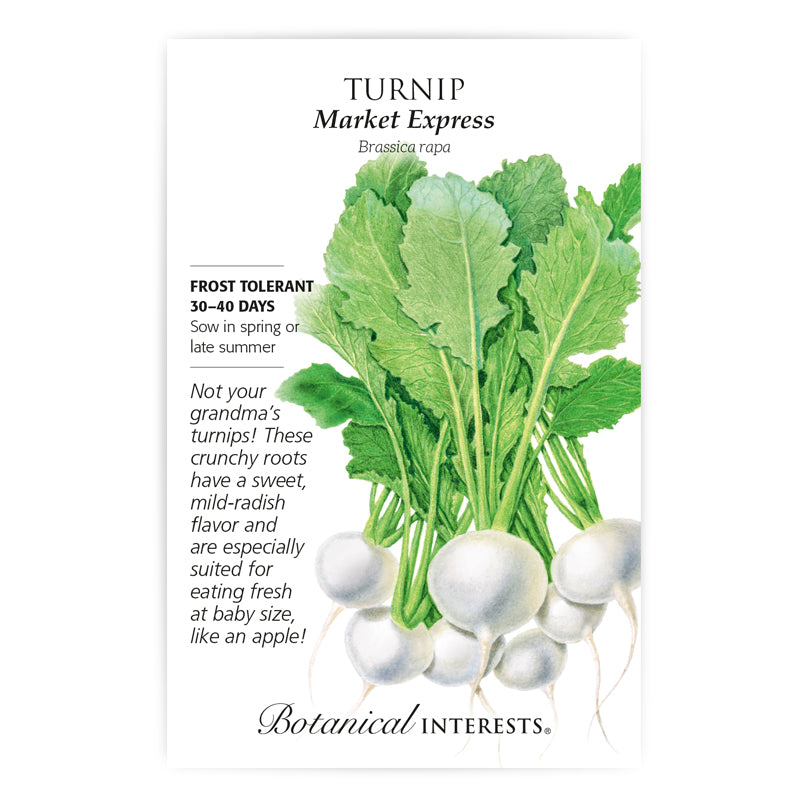 Turnip Market Express