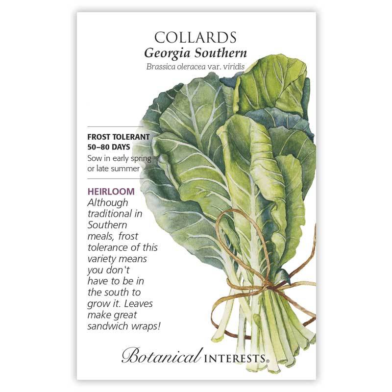 Collards Georgia Southern