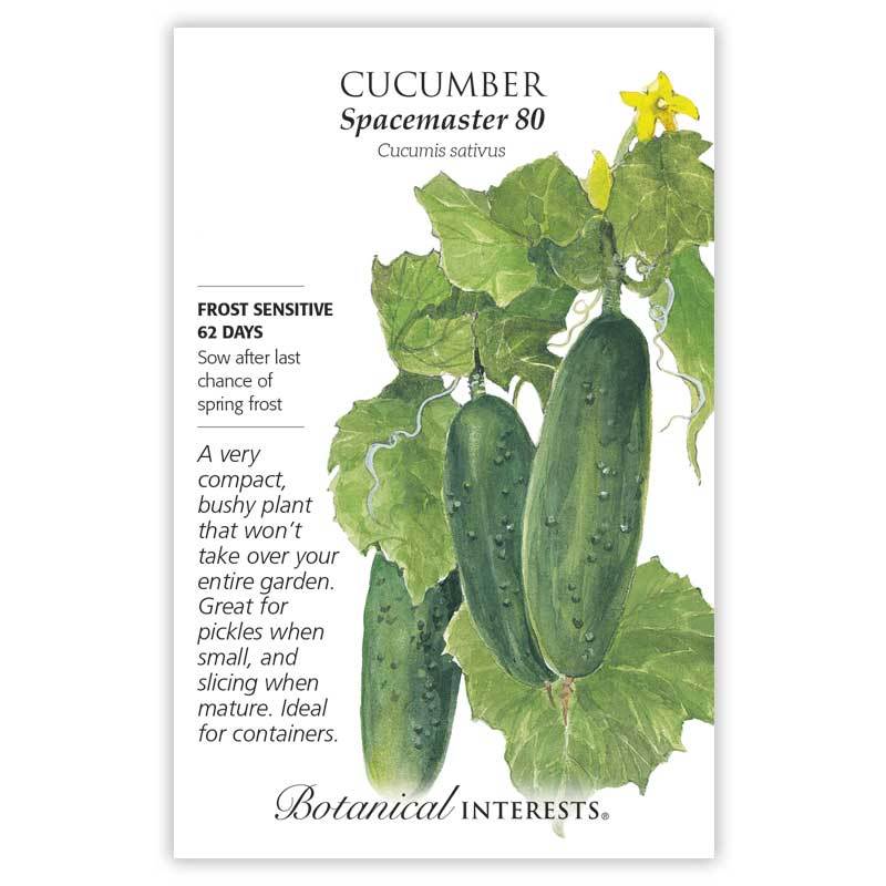 Cucumber Spacemaster