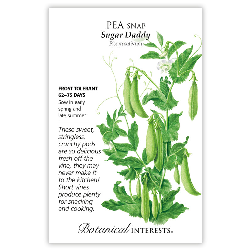 Pea Snap Sugar Daddy
