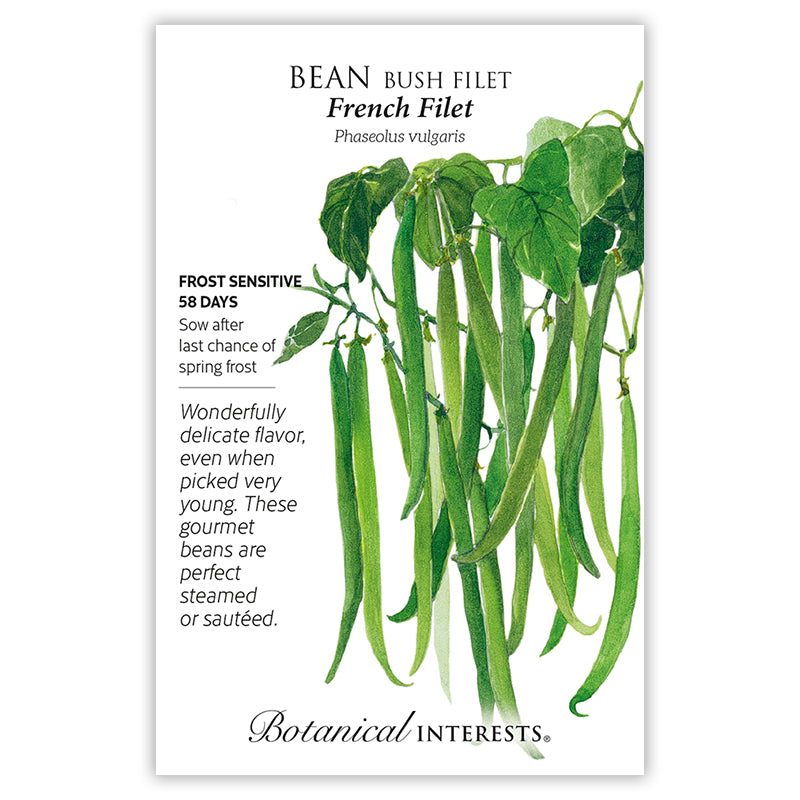 Bean Bush French Filet