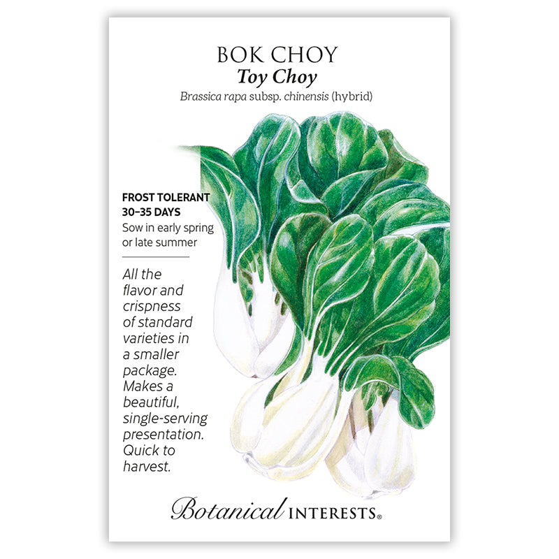 Bok Choy Toy Choy hybrid