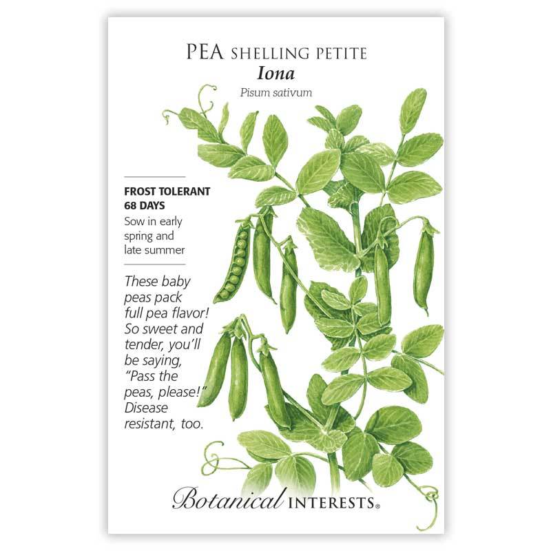 Pea Shelling Petite Iona