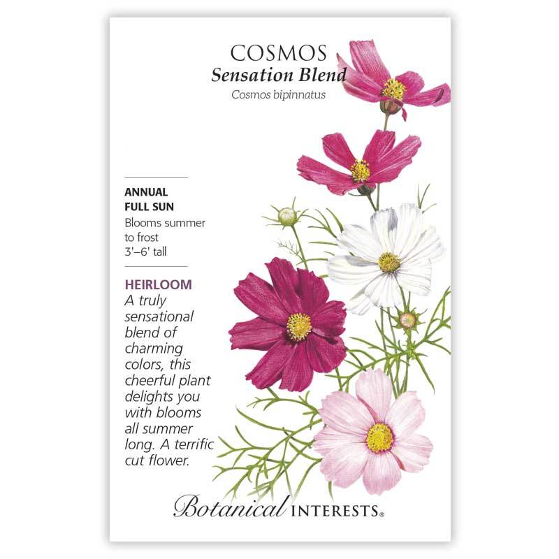 Cosmos Sensation Blend Org