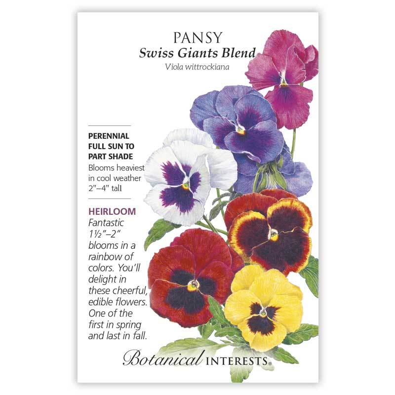 Pansy Swiss Giants Blend