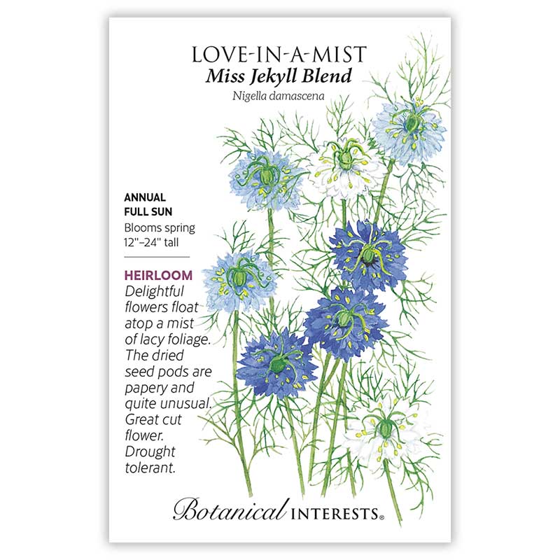 Love-in-a-Mist Jekyll Blend