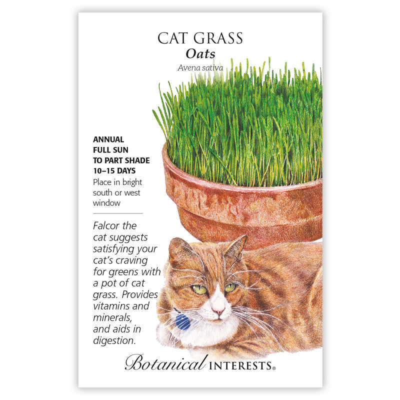 Cat Grass