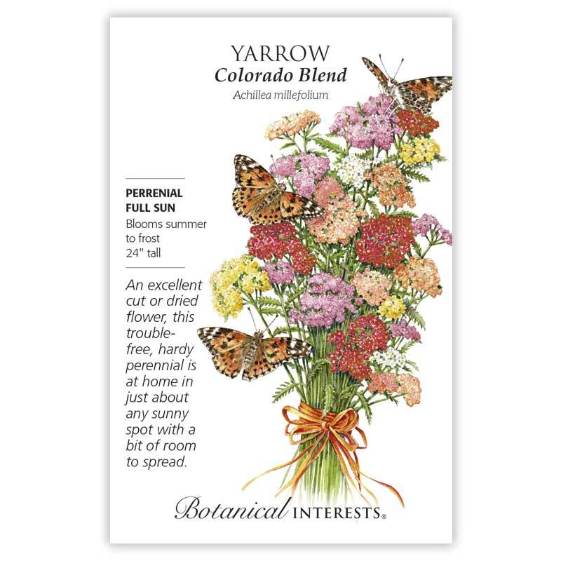 Yarrow Colorado Blend