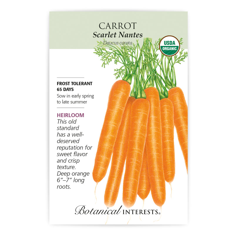 Carrot Scarlet Nantes Organic