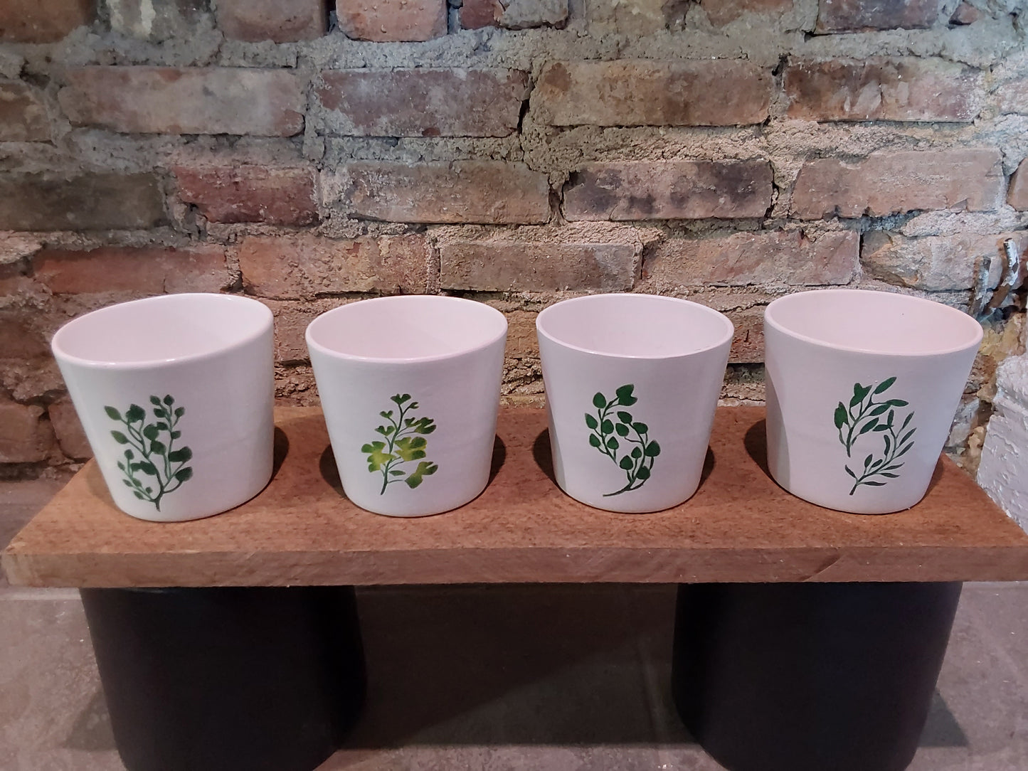 White w/ Herbs 5"- Assorted