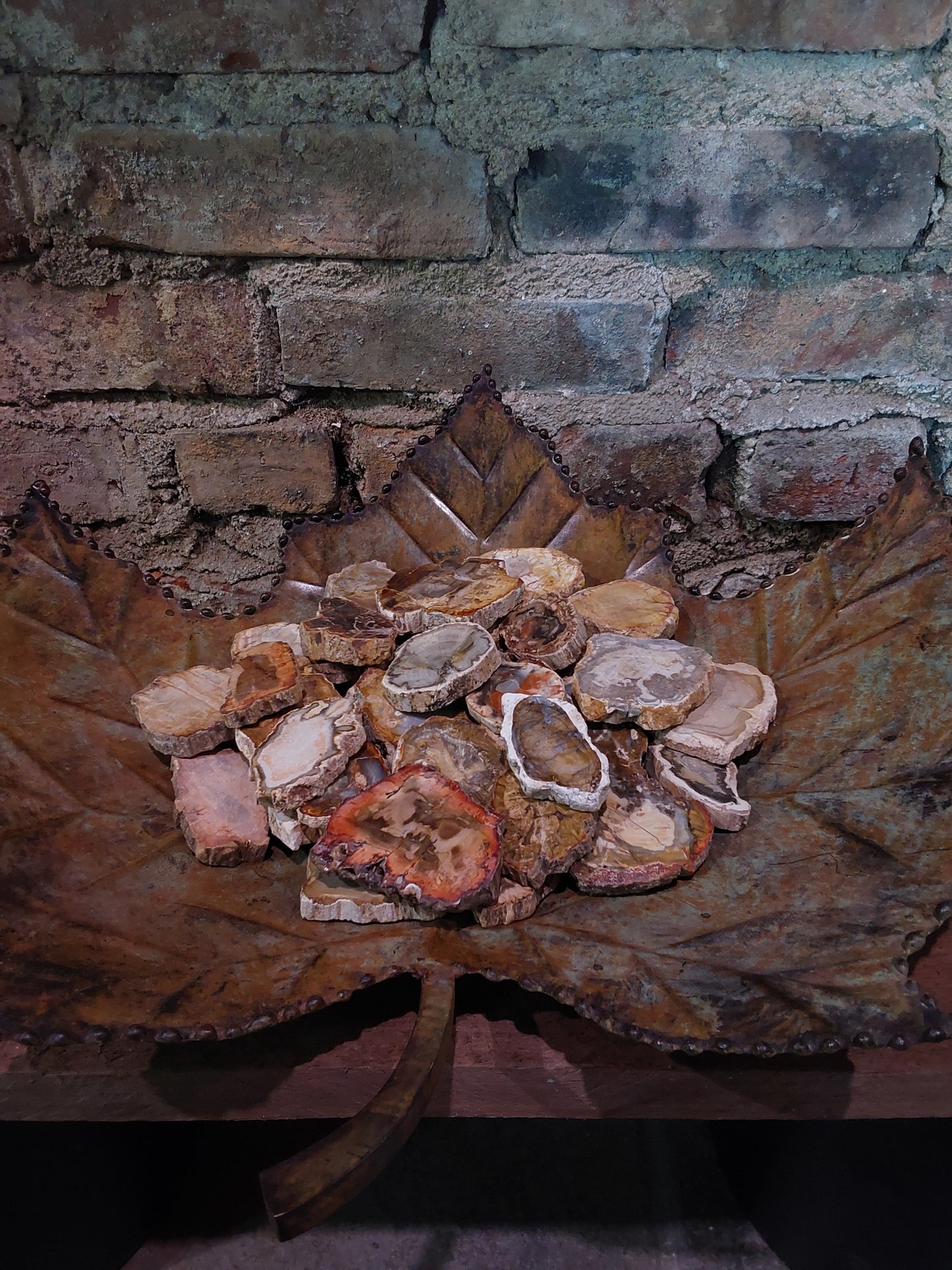 Petrified Wood Slab - 2"