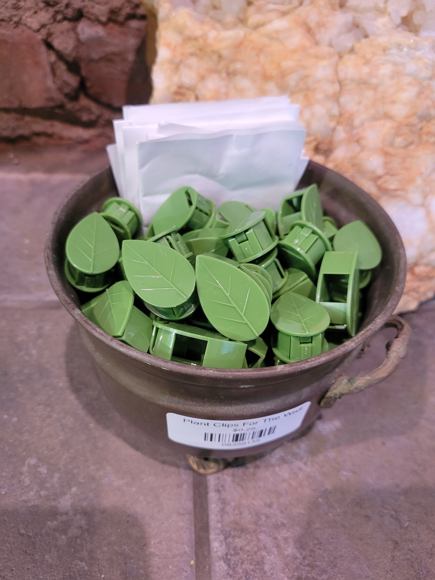 Plant Clips For The Wall