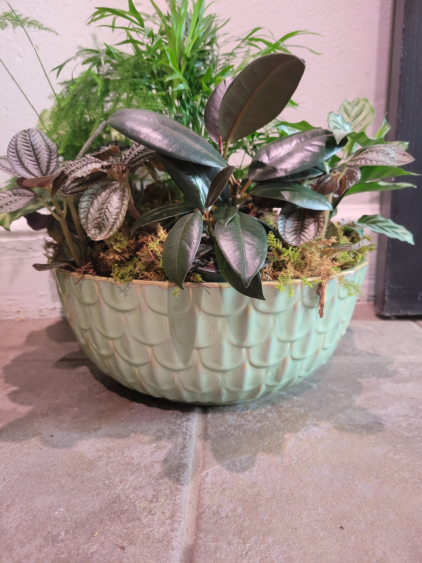 Scallop Bowl