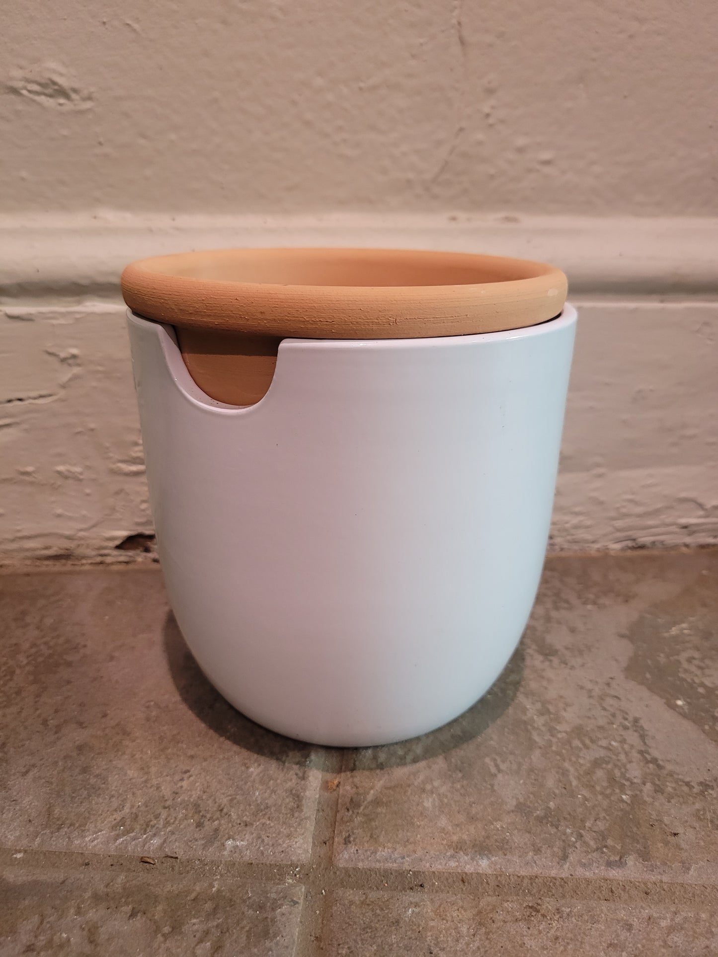 Self Watering Egg