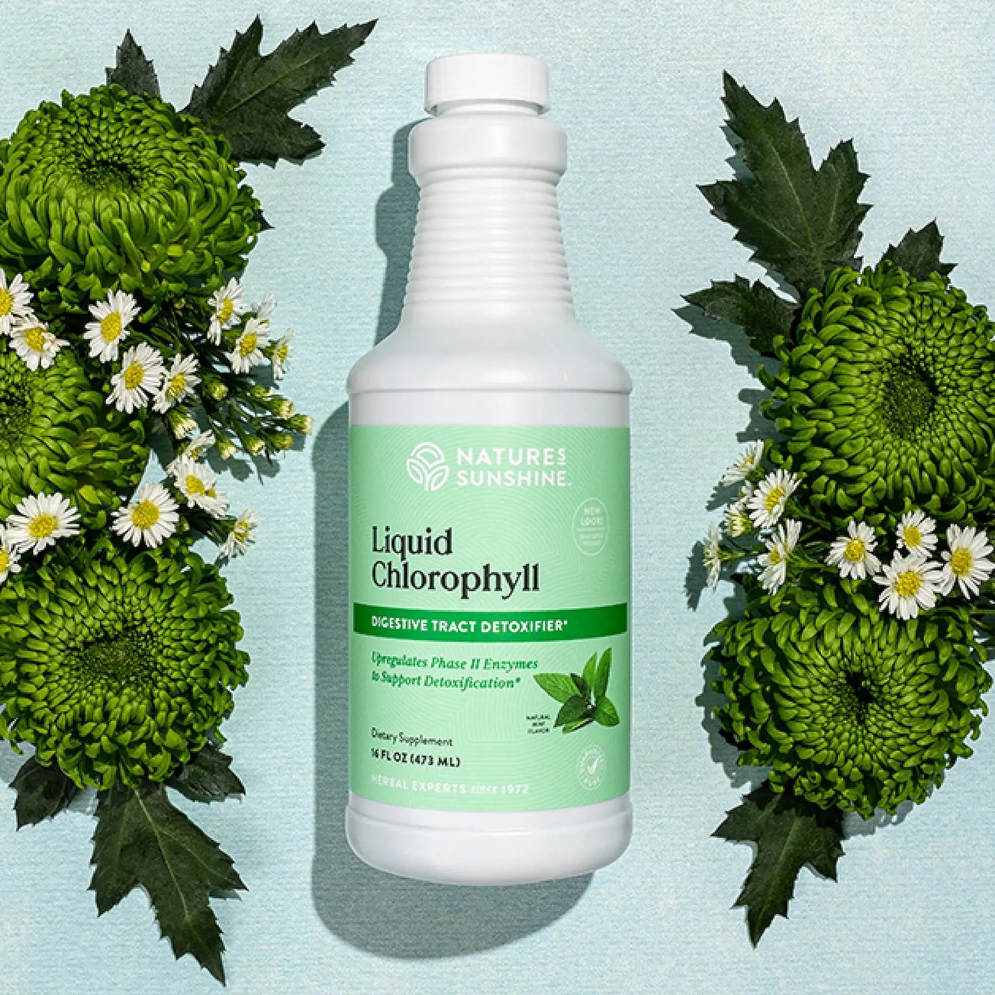 Liquid Chlorophyll 32 FL OZ