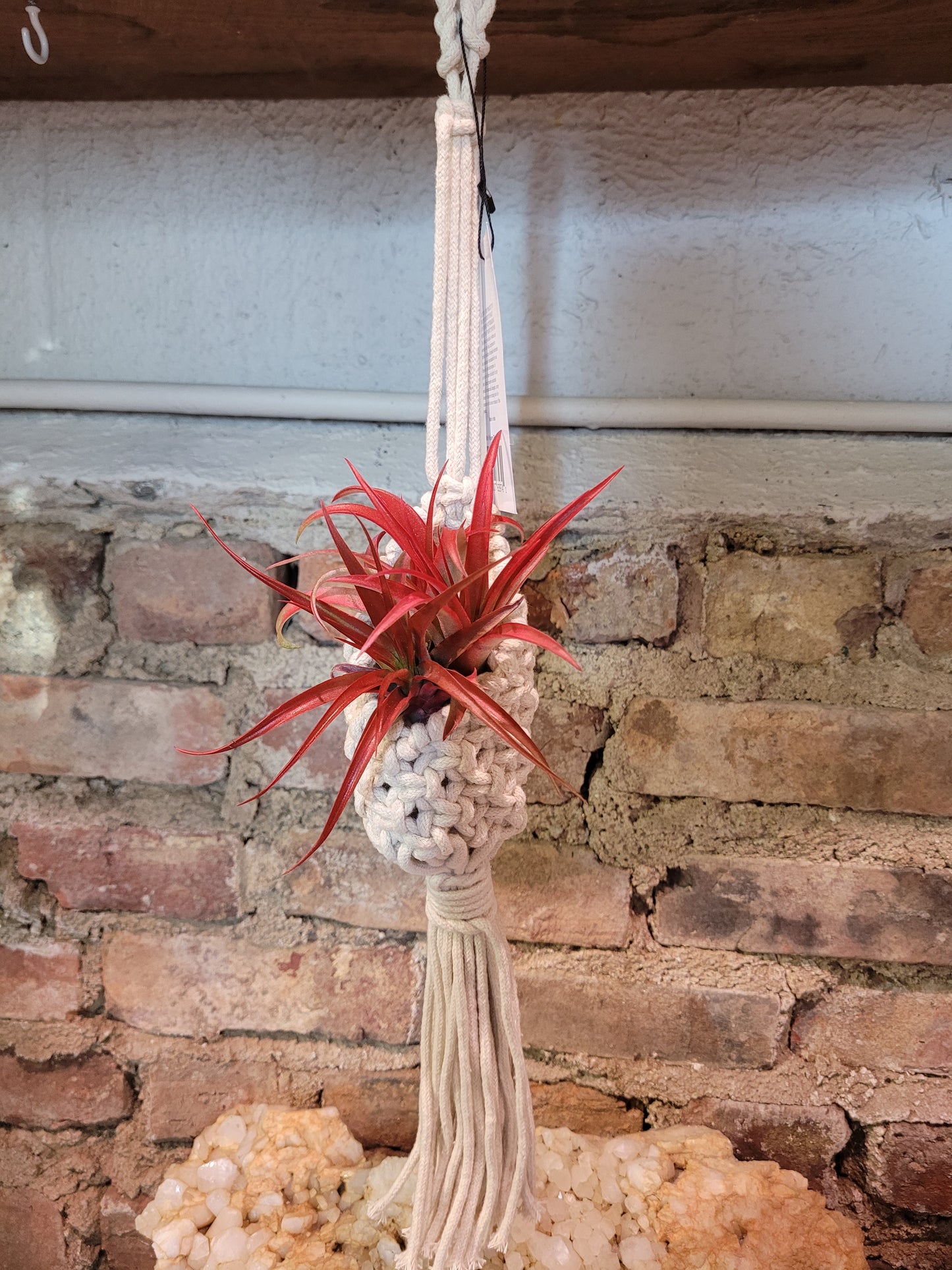 Primitive Mini Woven Plant Pouch