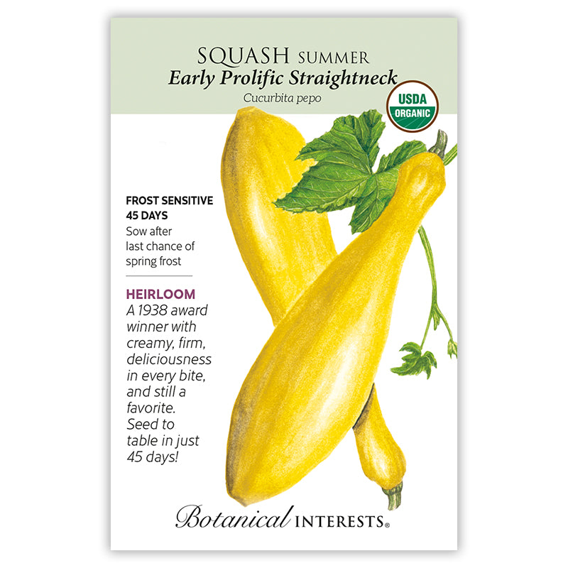 Squash Summer Early Strghtnk Org