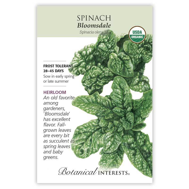 Spinach Bloomsdale Organic