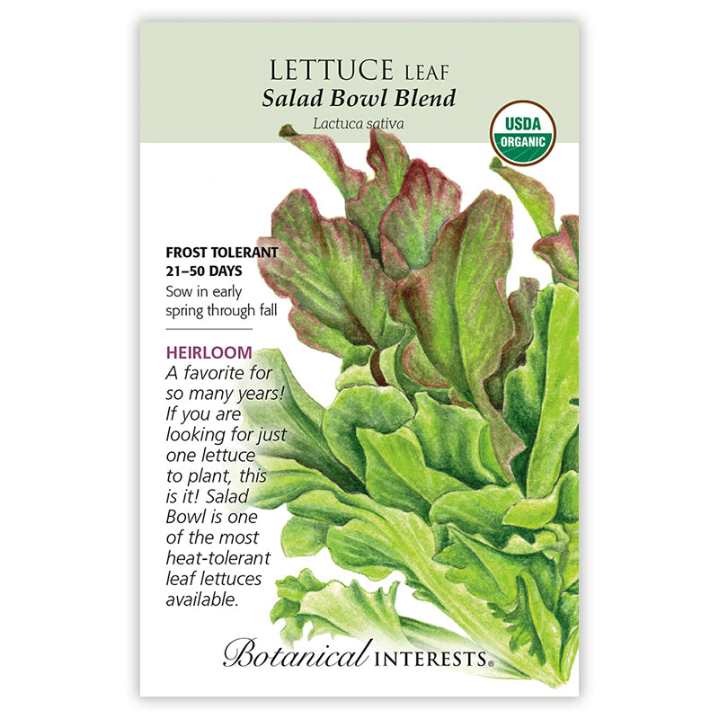 Lettuce Leaf Salad Bowl Blend Organic