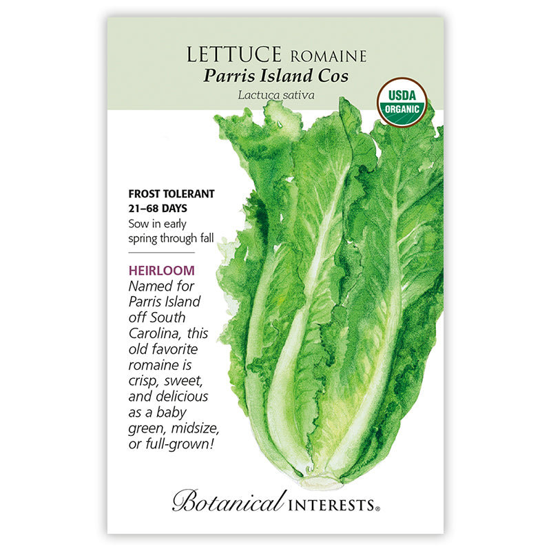 Lettuce Romaine Parris Island Organic
