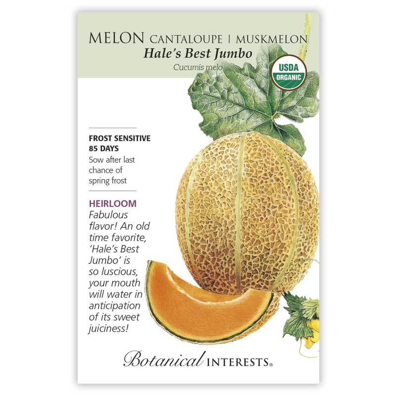 Melon Hales Best Jumbo Organic
