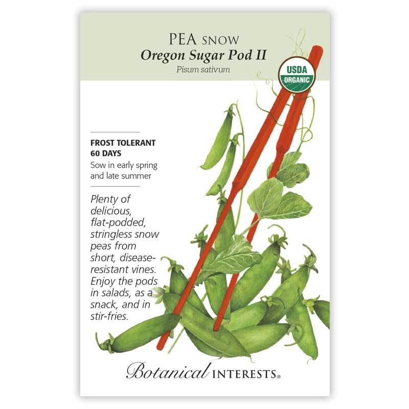 Pea Snow Oregon Sugar Pod Organic