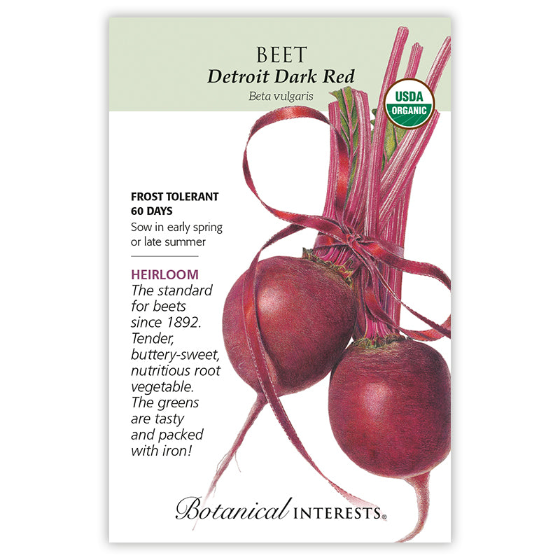 Beet (red) Detroit Dark Organic