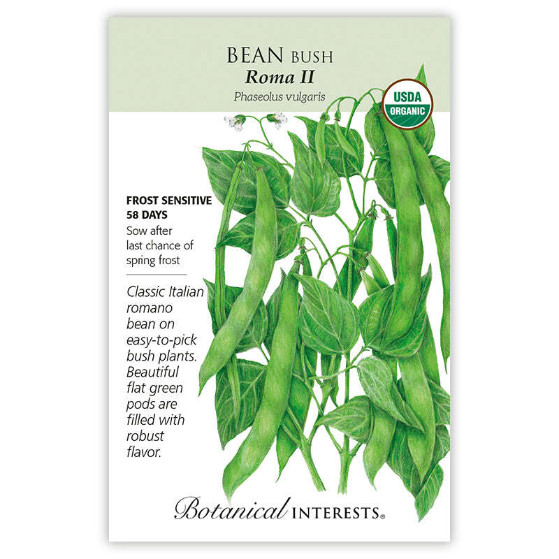 Bean Bush Roma II Org