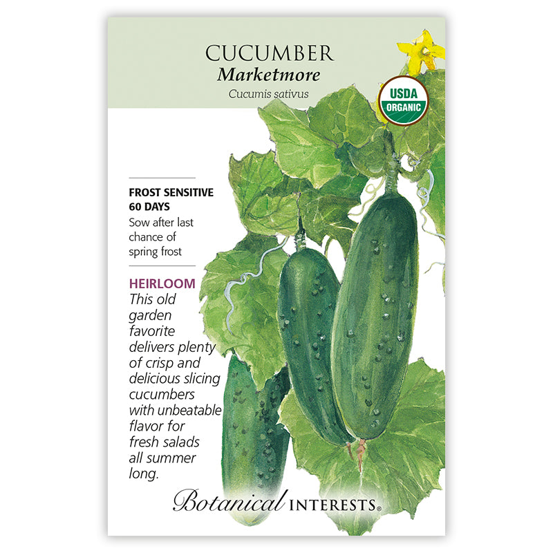 Cucumber Marketmore Organic