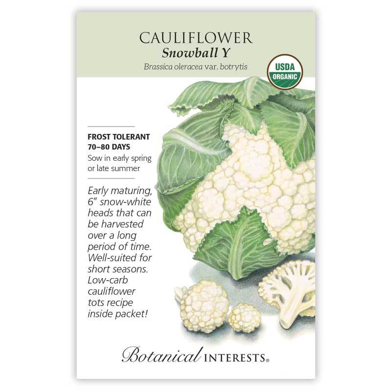 Cauliflower Snowball Y Organic