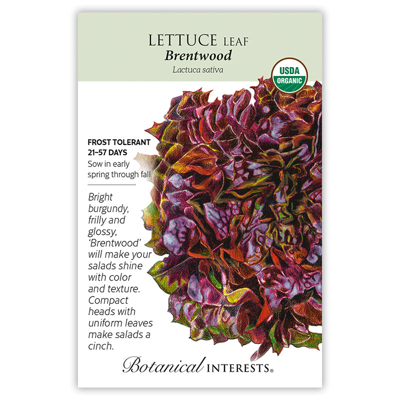 Lettuce Eazyleaf Brentwood ORG