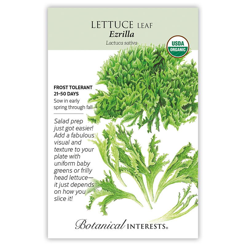 Lettuce Eazyleaf Ezrilla ORG