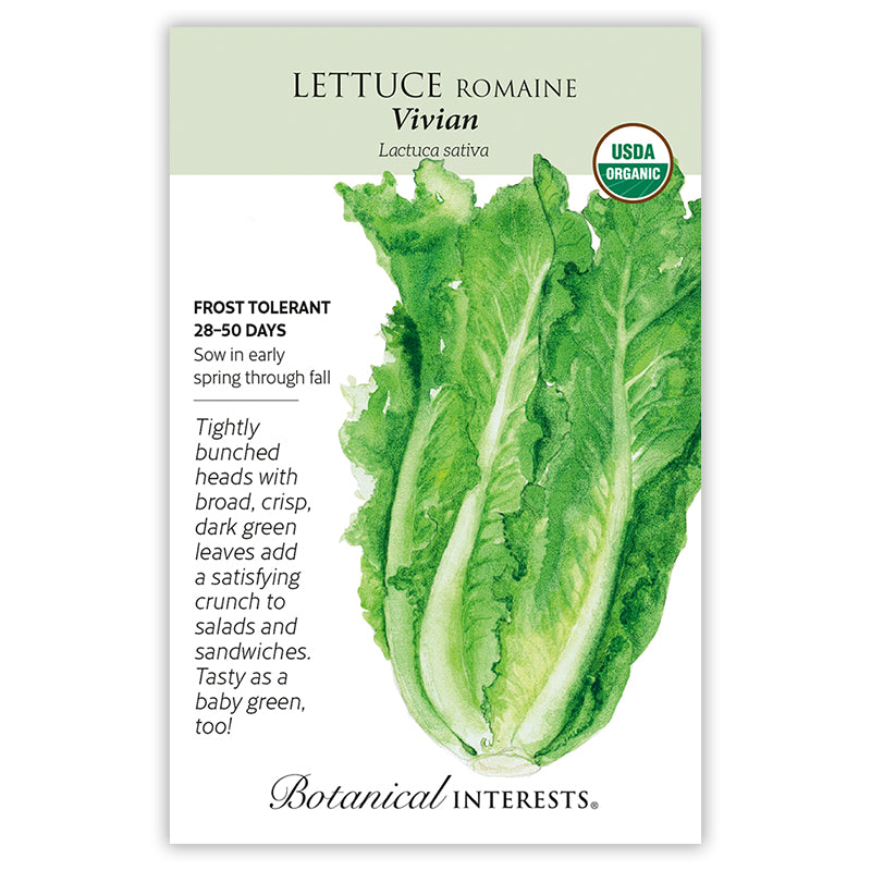 Lettuce Romaine Vivian Org