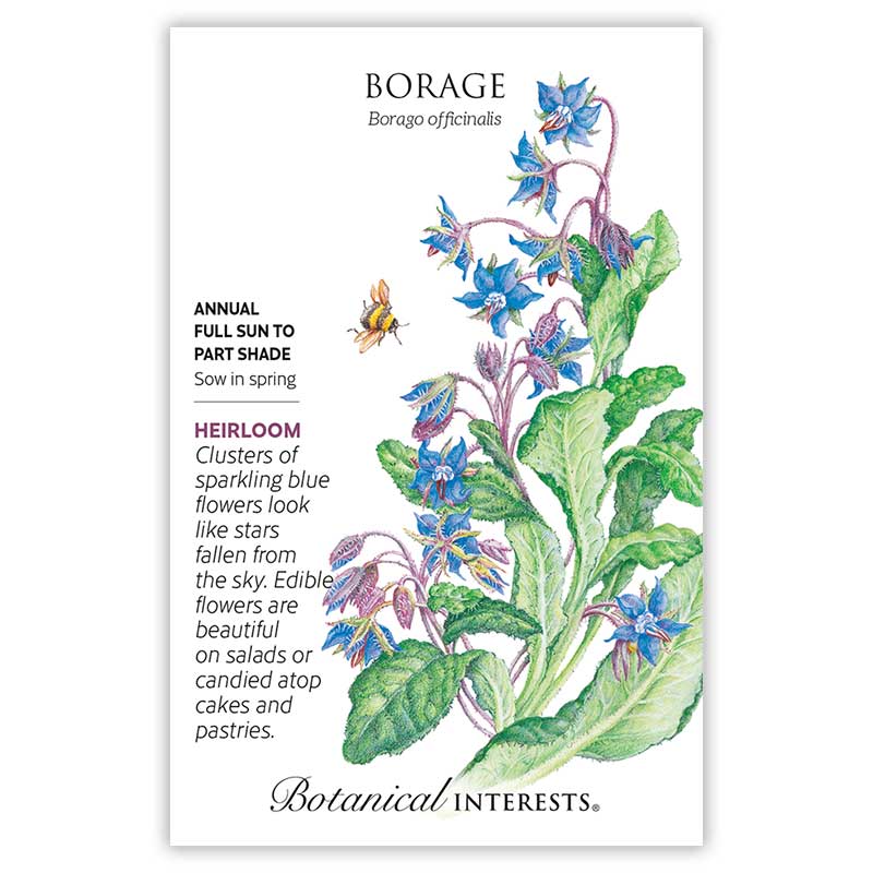 Borage