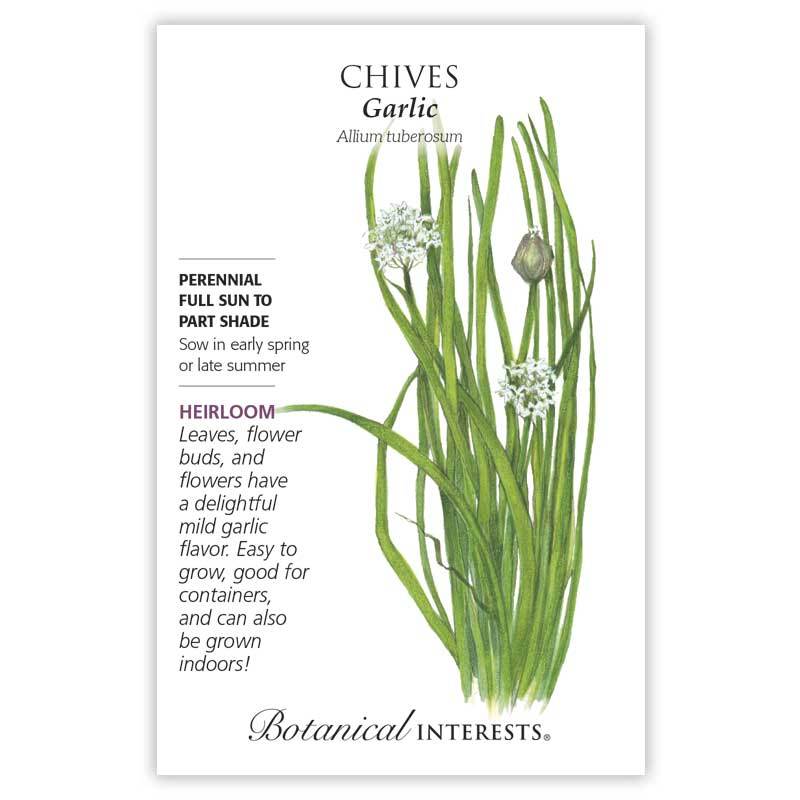 Chives Garlic