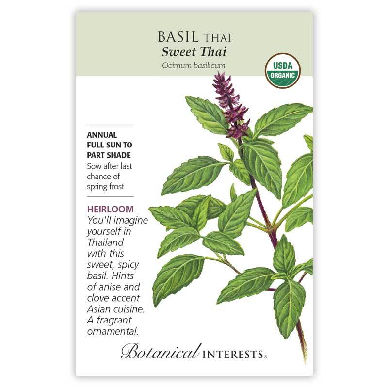 Basil Thai Sweet Thai Organic