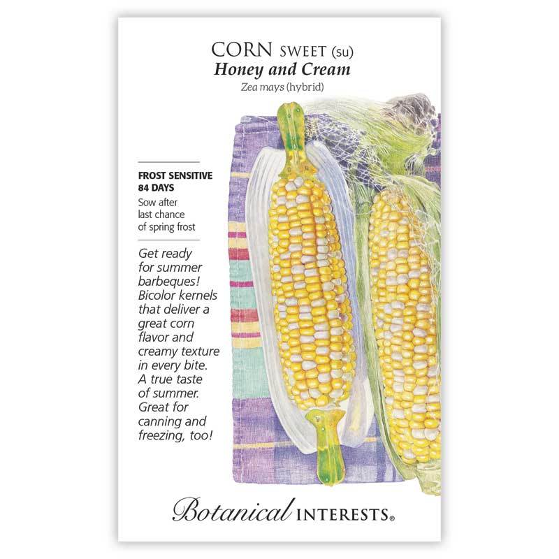 Corn Swt (bicolor) Honey