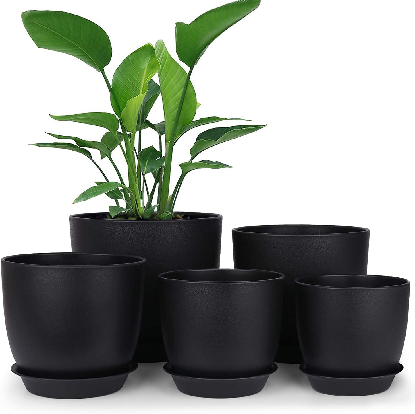 Plastic Planter Black
