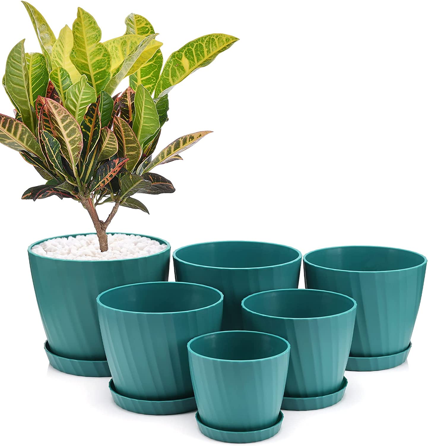 Plastic Planter Green