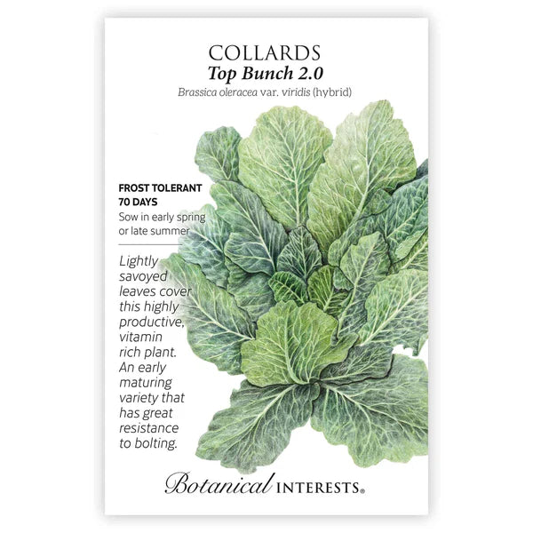 Collards Top Bunch