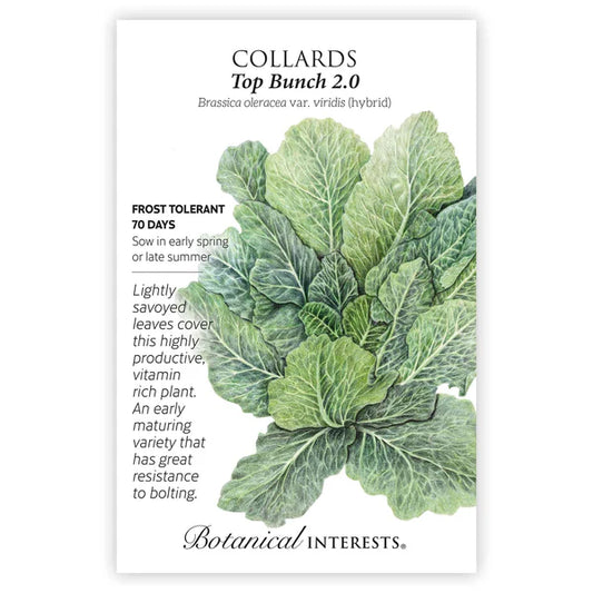 Collards Top Bunch