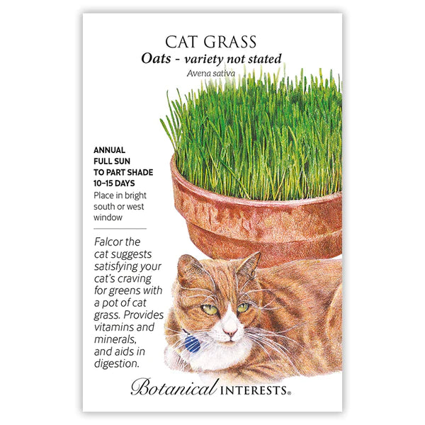 Cat Grass Large Packet