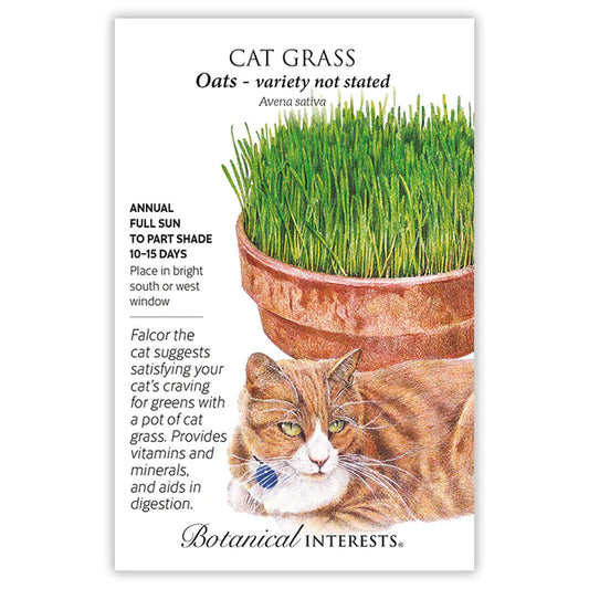 Cat Grass Large Packet