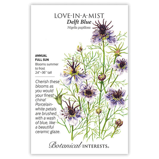 Love-in-a-Mist Delft Blue